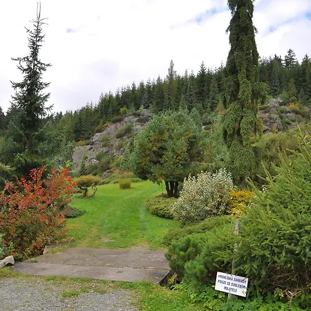 Nyaraló Holiday In Snezne *