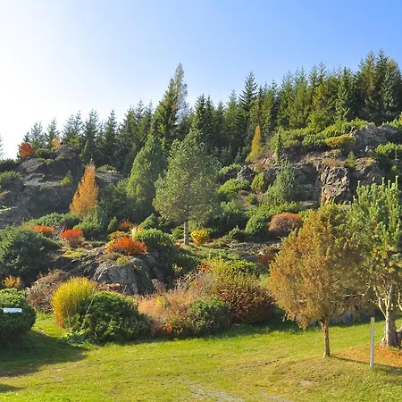 Holiday In Snezne *